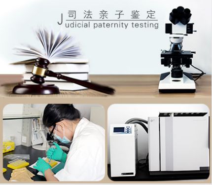 亲子鉴定定点 (3)
