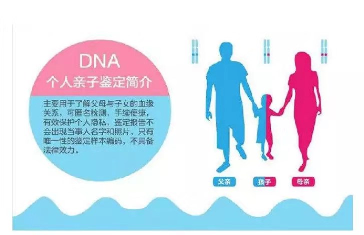 上海黄浦区一般鉴定亲子多少钱