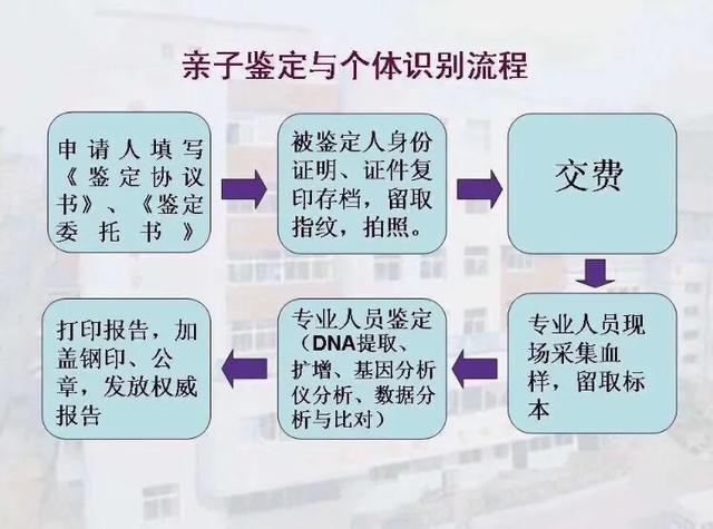 北京东城区做亲子鉴定需要多少钱