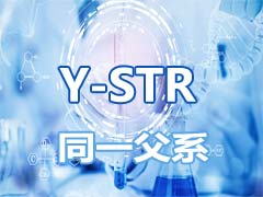 亲子鉴定定点 (50)